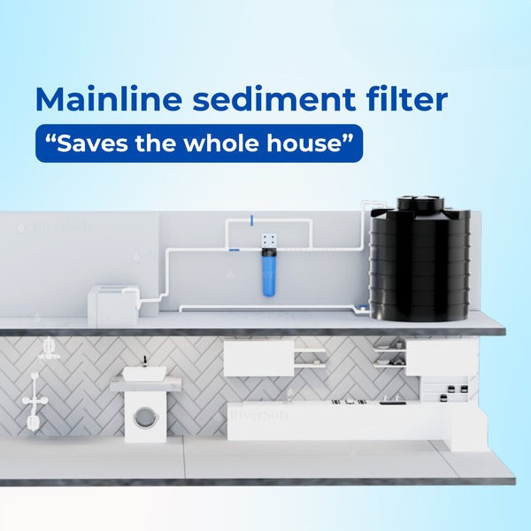 SwapBase ASP-20-HV1 Sediment Filter Assembly